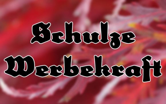 How Schulze Werbekraft Font Can Elevate Your Small Business Branding